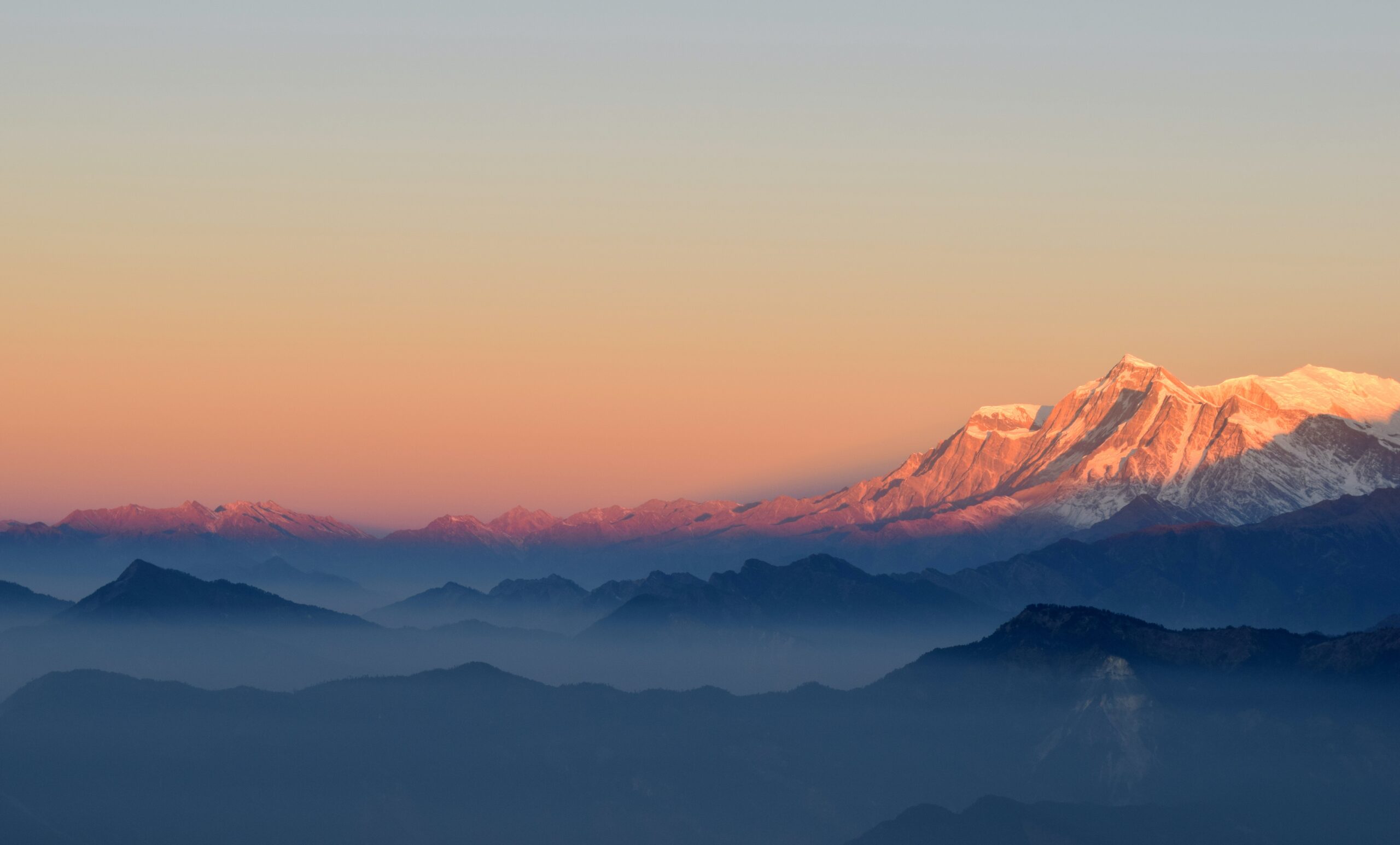 Jardins de thé enveloppés de brume dans les montagnes de l'Himalaya pour la sous-catégorie 'Sérénité Himalayenne'.